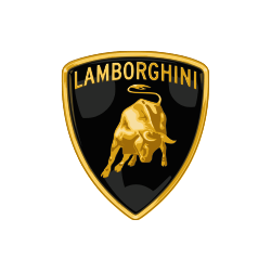 Lamborghini Akü
